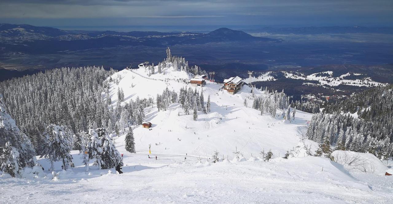 Mountain Lodge Rîşnov Exterior foto