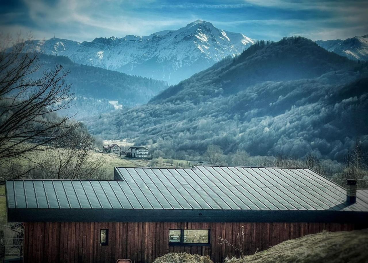 Mountain Lodge Rîşnov Exterior foto